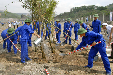Công nhân ngành Than trồng cây trên bãi thải góp phần bảo vệ môi trường.