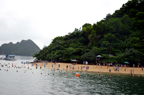 Đảo Ti Tốp thu hút hàng nghìn du khách tham quan mỗi ngày.