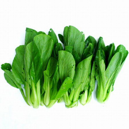 Trong đông y, tất cả các loại cây màu xanh nào cũng đều có tác dụng thanh nhiệt, riêng rau cải có tác dụng thanh nhiệt gấp đôi.