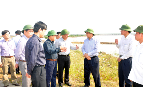 Đồng chí Bí thư Tỉnh ủy và các đồng chí trong đoàn kiểm tra thực địa tại khu vực triển khai Dự án (xã Hoàng Tân, TX Quảng Yên)