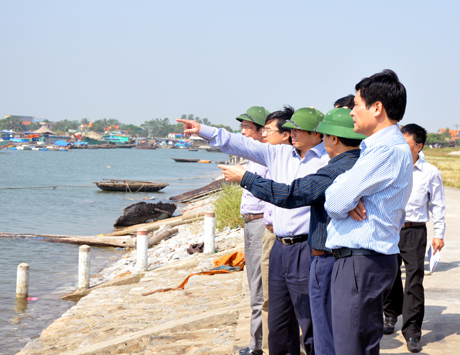 Đồng chí Bí thư Tỉnh ủy và các đồng chí trong đoàn kiểm tra khu vực bến neo đậu tầu thuyền (phường Tân An, TX Quảng Yên).