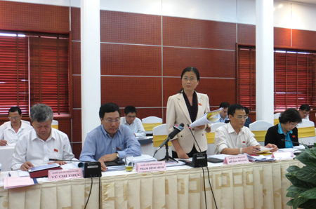 Trưởng Đoàn ĐBQH tỉnh Đỗ Thị Hoàng phát biểu tại buổi thảo luận tổ