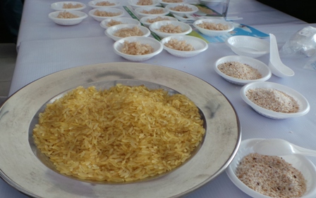 Gạo mầm đang được kỳ vọng sẽ mang lại giải pháp hỗ trợ trị bệnh tiểu đường