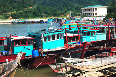 tàu thuyền trên địa bàn xã Thanh Lân tại nơi tránh trú