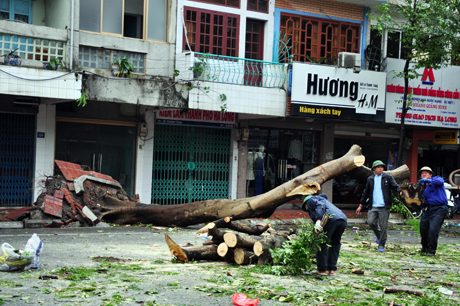 TP Hạ Long tơi tả sau bão