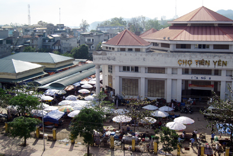 Đến nay, mọi hoạt động tại Tiên Yên đã trở lại bình thường