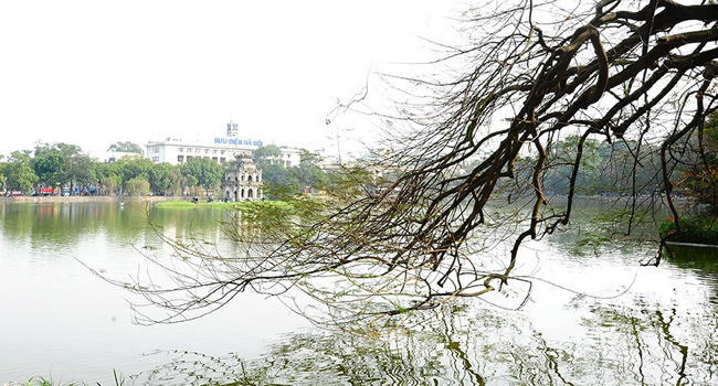 Hà Nội đầu đông cũng là khi các loại cây rụng hết lá.