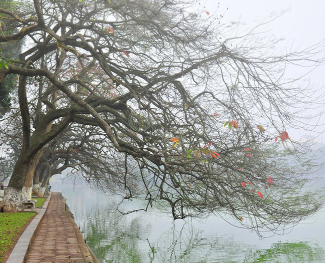 Khung cảnh có đôi phần bí ẩn khi sương còn dày.