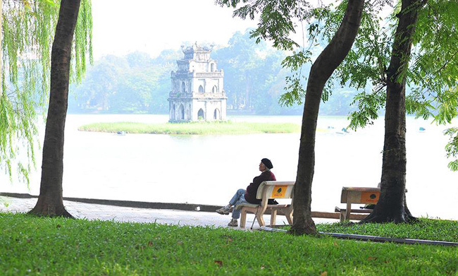 Bên cạnh đó, cũng có rất nhiều loại cây quanh năm xanh lá được trồng ở đây, giúp cho Hồ Gươm trở thành lá phổi xanh của thành phố.