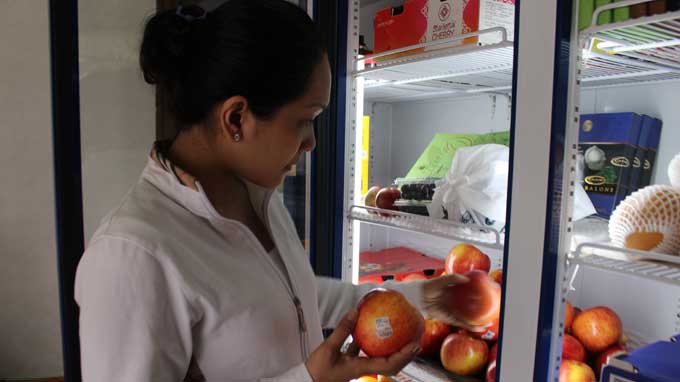 Khách hàng chọn mua trái cây ngoại tại một cửa hàng trên đường Trần Phú, Q.5, TP.HCM - Ảnh: Tr.Mạnh