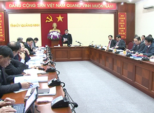 Ban Thường vụ Tỉnh ủy cho ý kiến về Quy hoạch phát triển KTXH huyện Hải Hà
