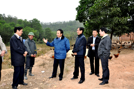 Phó Chủ tịch UBND tỉnh Đặng Huy Hậu kiểm tra công tác phòng, chống dịch cúm gia cầm tại Đông Triều