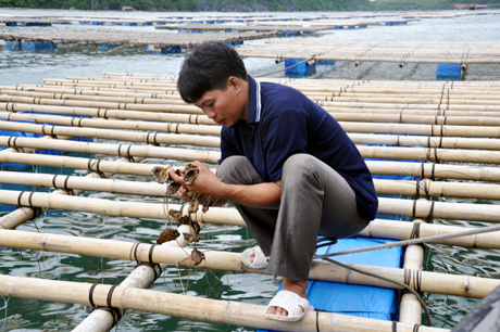 Chương trình thời sự sáng ngày 26/02/2014