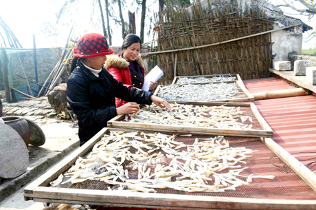 Chị Vũ Thị Nga, Chi hội Phụ nữ thôn Đoài (bên trái) giới thiệu sản phẩm cá khô Quan Lạn của gia đình.