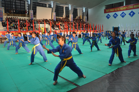 Biểu diễn môn võ Vovinam