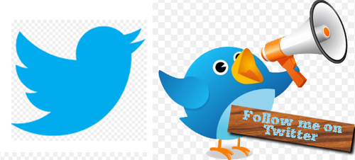 Các nhà sáng lập của Twitter duyệt kho ảnh iStockphoto và nhìn thấy hình con chim của Simon Oxley. Họ lập tức liên hệ với tác giả để mua lại thiết kế này. Linh vật của Twitter có tên Larry, hiện chưa rõ vì sao nhưng có ý kiến cho rằng nó xuất phát từ tên của cầu thủ bóng rổ nổi tiếng Larry Bird).