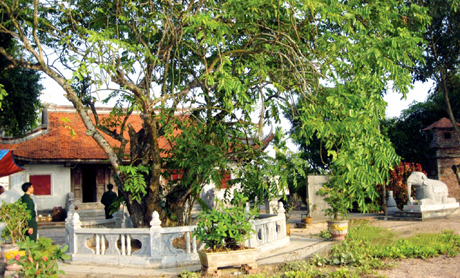 Miếu Vua Bà ở Yên Giang.