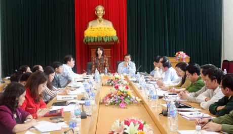Đồng chí Vũ Thị Thủy, Phó Chủ tịch UBND tỉnh phát biểu tại cuộc họp bàn.