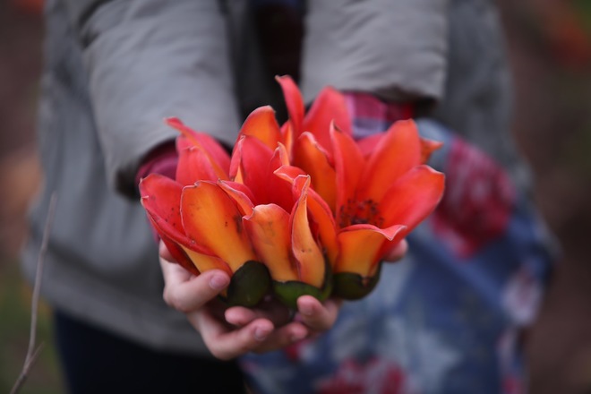 Dân gian thường có câu