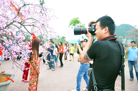 Lễ hội Hoa anh đào là dịp để các nhiếp ảnh gia sáng tác.