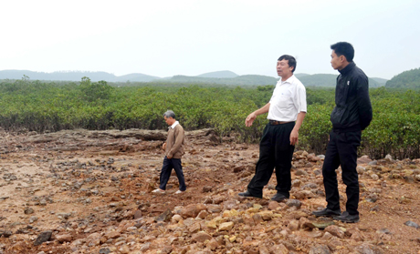 Các CCB xã Đông Hải (huyện Tiên Yên) tham gia bảo vệ rừng ngập mặn trên địa bàn.