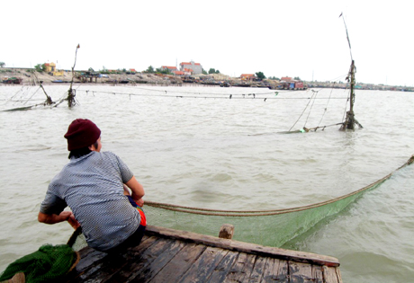 Kéo lưới đáy là khâu nặng nhọc, vất vả nhất nhưng thành quả chỉ là mấy con tôm, cá nhỏ.