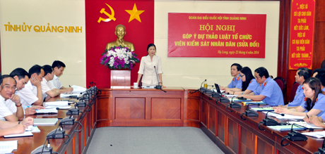Đồng chí Đỗ Thị Hoàng, Phó Bí thư Thường trực Tỉnh uỷ, Trưởng Đoàn ĐBQH tỉnh phát biểu tại hội nghị.