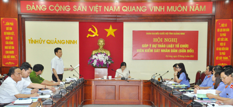 Đồng chí Trần Xuân Cương, Uỷ viên Thường trực HĐND tỉnh tham gia ý kiến vào dự thảo luật.