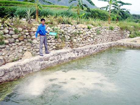Nuôi cá nước chảy - một trong những hướng phát triển kinh tế của nông dân Bình Liêu.