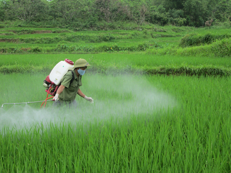 Chương trình thời sự sáng ngày 10/05/2014