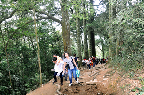 Con đường đưa khách hành hương về Yên Tử qua khu rừng quốc gia.