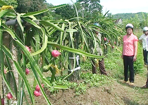 Chương trình thời sự sáng ngày 15/06/2014