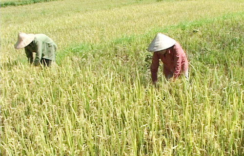 Chương trình thời sự tối ngày 20/06/2014