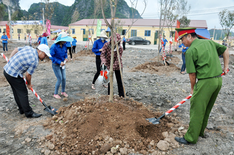 Tham gia trồng cây tại Khu tái định cư làng chài phường Hà Phong