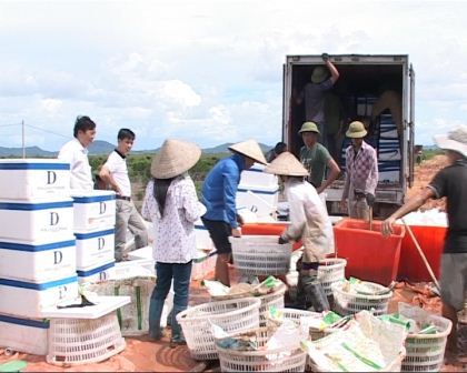 Chương trình thời sự tối ngày 31/07/2014