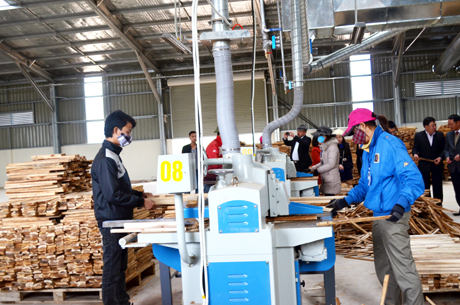 Chế biến gỗ tại Công ty TNHH Thanh Lâm (Đầm Hà).
