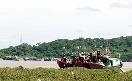 Tất cả tàu cá tuyến khơi của tỉnh đã về nơi tránh trú bão an toàn
