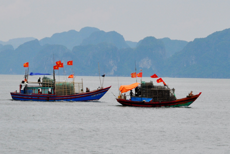 Các tàu đánh cá về nơi tránh trú bão an toàn.