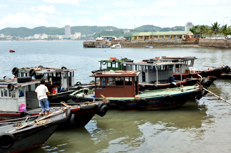 Chủ tàu