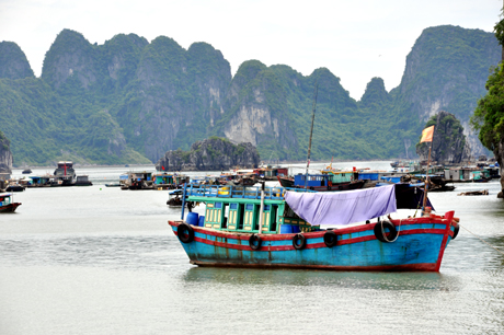 Tại các hẻm núi ở khu vực bến cá chợ Hạ Long I, nhiều tàu, thuyền đã về tránh trú bão.