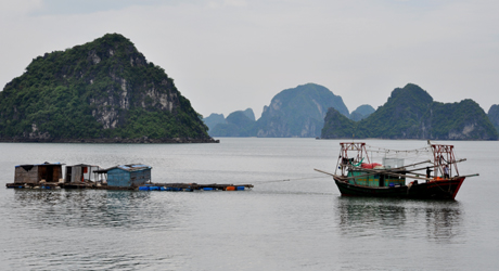 Kéo bè về nơi tránh trú an toàn.