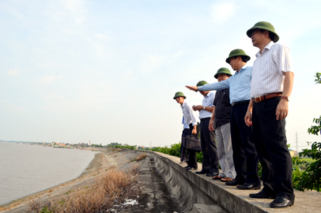 Đồng chí Nguyễn Văn Thành, Phó Chủ tịch UBND tỉnh kiểm tra khu vực đê Hà Nam, TX Quảng Yên.