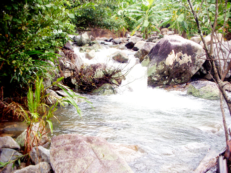 Vạn Ninh ít sông lớn, chỉ có những con suối nhỏ len lỏi giữa rừng quế.
