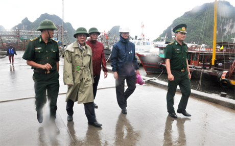 Phó Chủ tịch Thường trực UBND tỉnh Đỗ Thông kiểm tra công tác phòng, chống bão số 2 tại Vân Đồn