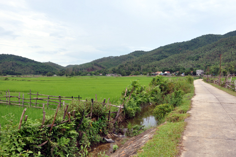 Phong cảnh làng quê ở xã đảo Bản Sen (Vân Đồn). Ảnh: Đại Dương