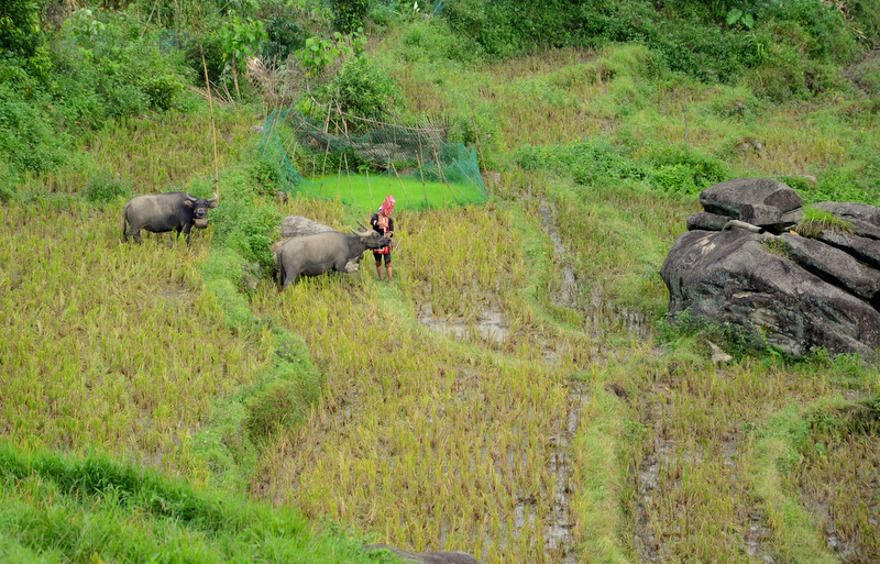Dọc đường lên thác, dưới thung lũng thấp thoảng vài thửa ruộng nhỏ của đồng bào dân tộc Dao.