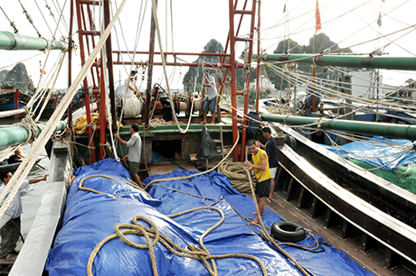 Các tàu cá khai thác thuỷ sản xa bờ của ngư dân xã Hạ Long (Vân Đồn) tập trung bảo dưỡng lại phương tiện để yên tâm ra khơi mùa mưa bão.