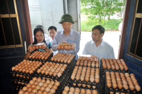 Chủ tịch UBND tỉnh thăm mô hình sản xuất trứng gà Tân An