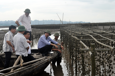 Chủ tịch UBND tỉnh thăm mô hình nuôi hà treo dây tại xã Hoàng Tân