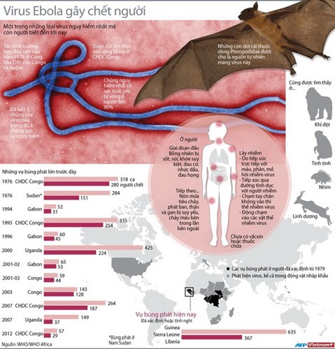 Truy tìm nguyên nhân dịch Ebola tăng nhanh như vũ bão